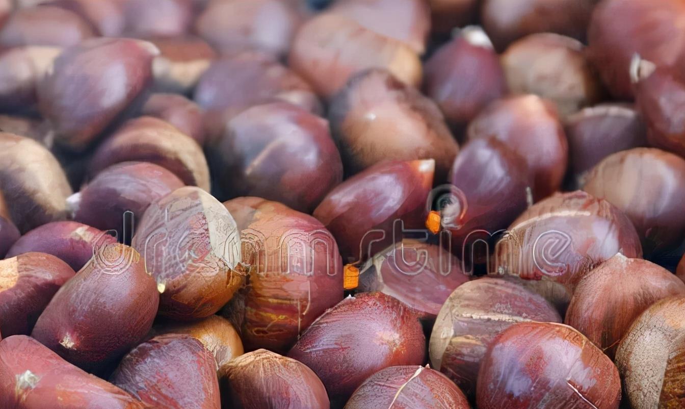 镜头|秋季少吃寒性食物,推荐多吃这5种,顺应时令,营养滋补防秋燥