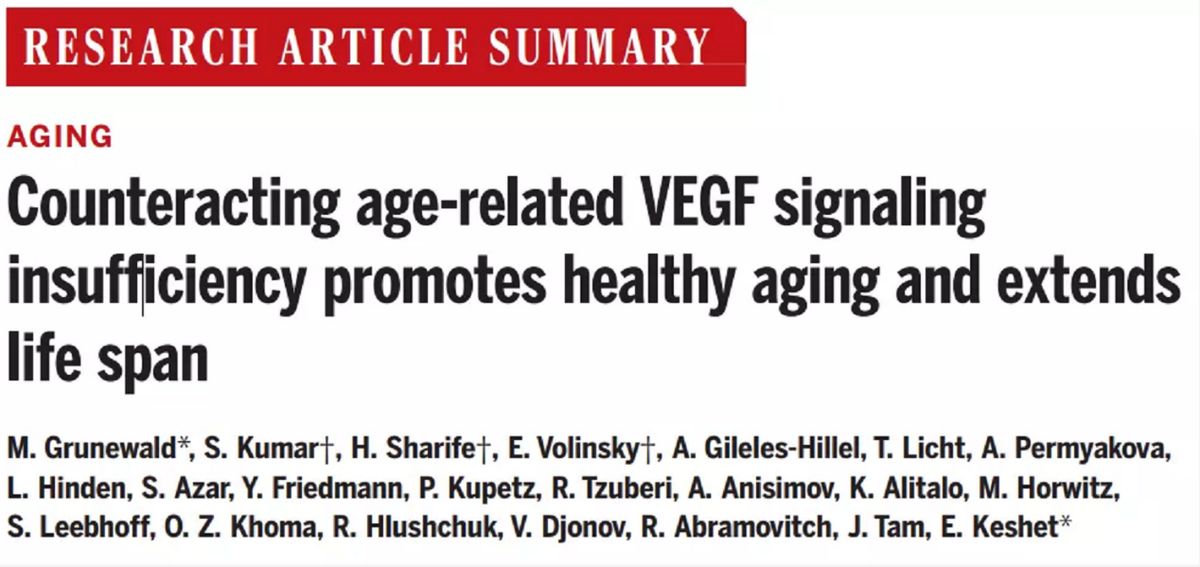 狼蛛 寿命增加50%?以色列科学家发现长寿新机制,关键在于血管通路
