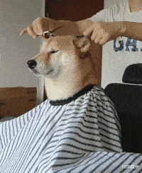 时尚炫点 装修的时候做了个榻榻米,两年不到成这样子了,又要花钱了!