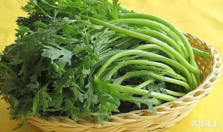 张娜拉|秋天这菜不懂吃太可惜，女人吃了减肥，对男人戒烟大有好处