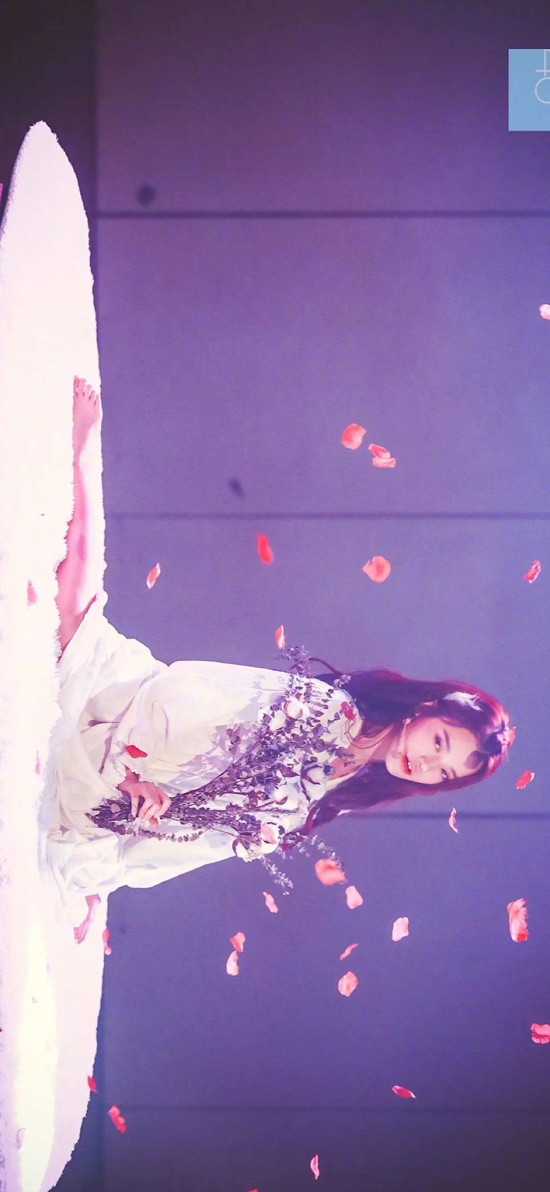 明星|明星壁纸孙珍妮壁纸