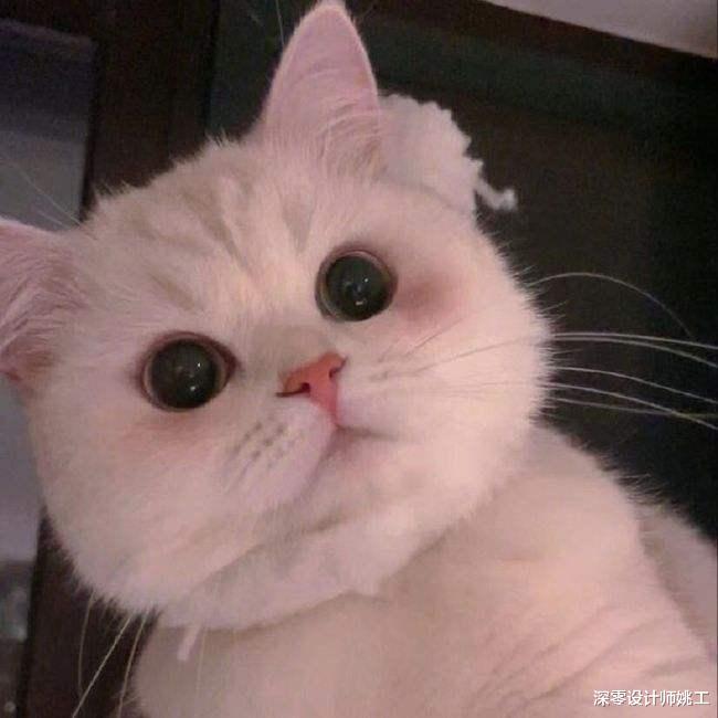 丛满地灰尘到整屋温馨,露台花园自己DIY起来,体验田园生活不是梦