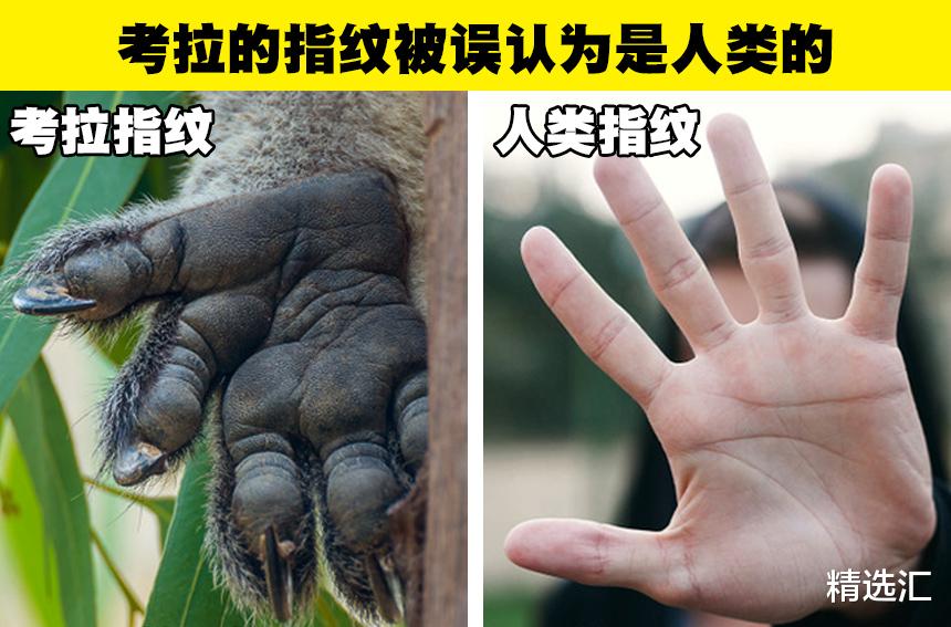 科学冷知识:你可能没有在生物课上学过的9个有趣事实