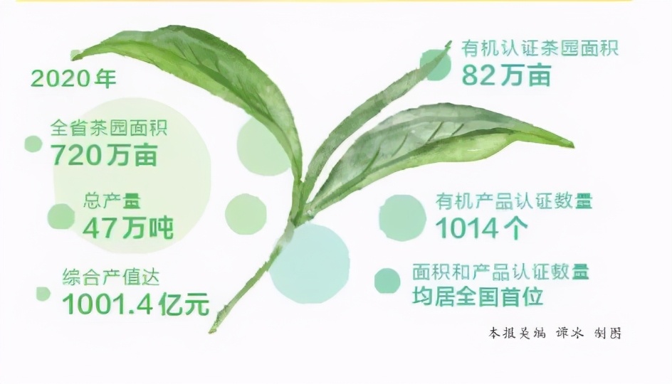 云南大观 茶是用来喝的还是用来炒的?云南100个著名山头春茶价格涨了吗?