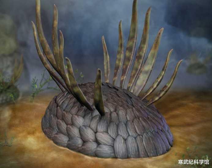 寒武纪 又是一种寒武纪史前顶级捕食者，最古老的人类祖先只能狼狈逃窜