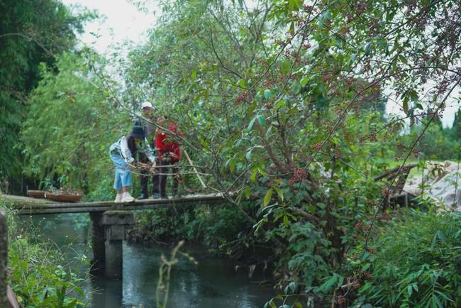 海口|成都一家三口住30亩院子，被媒体捧红后，继续孤独打造乐园