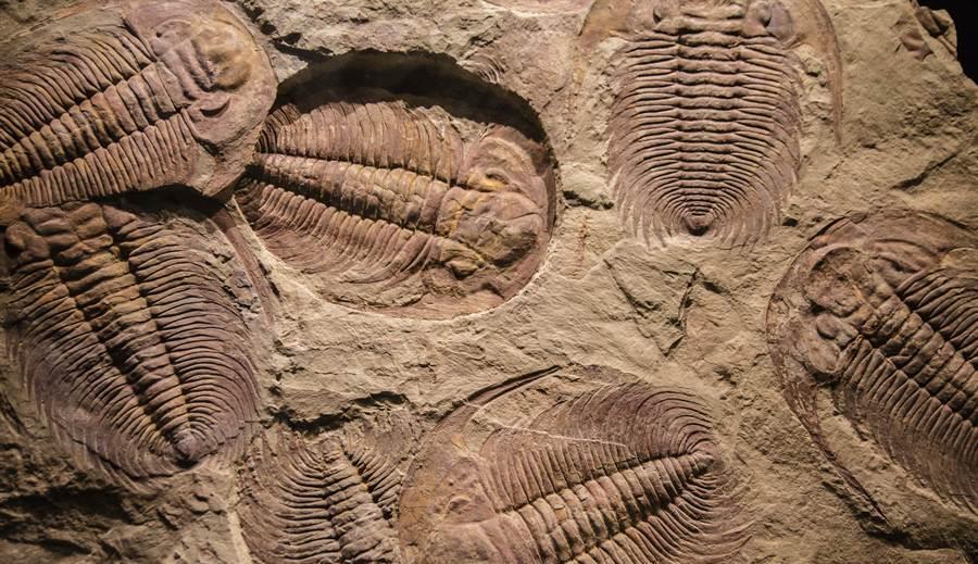 原住民 地球上发现22亿年前的高等文明，人类竟然不是原住民？