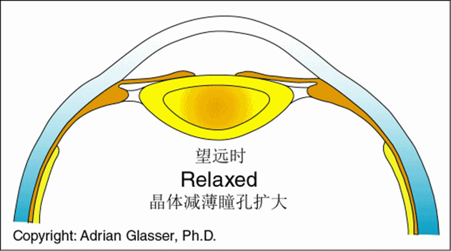 视界沐光VR视力|每天看电子屏幕超过8小时? 警惕眼睛出现“数码视疲劳”