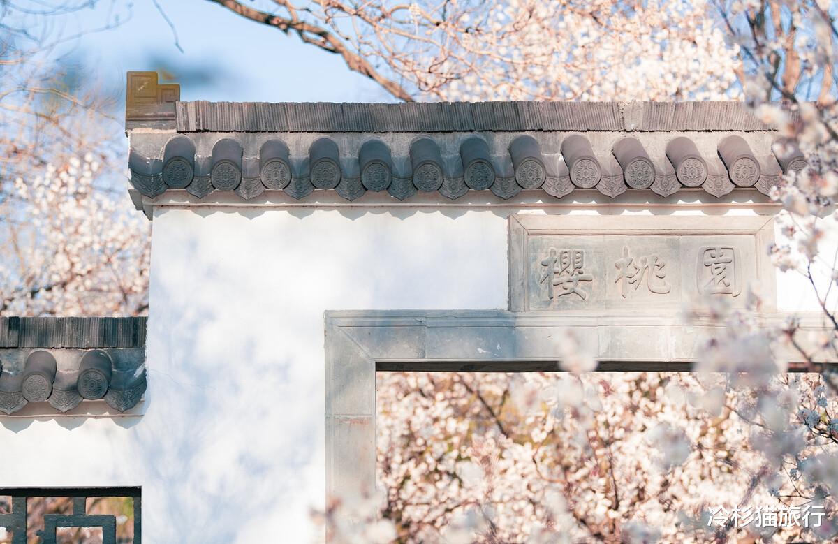 清明节 清明五一去哪好?我推荐江浙沪这16个地方,几乎浓缩了江南所有的好春光!