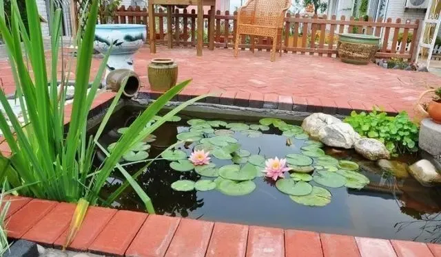 上海市|当你老了，一定要在乡里有套房.