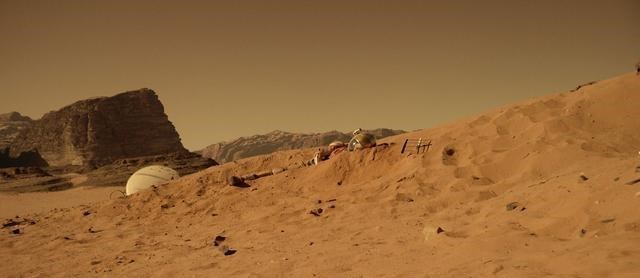 2008年,美国探测器拍到火星有大树和森林?照片不假却很诡异