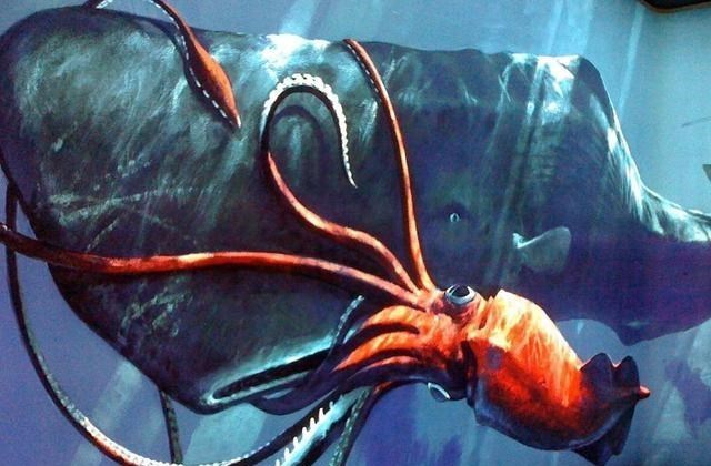 抹香鲸 鲸排泄物龙涎香，为什么拉出来的香且比黄金贵，人工取出来的臭？