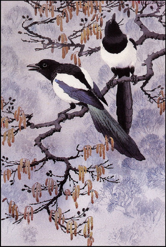 英国查尔斯.图尼克利夫(Charles.Tunnicliffe)禽鸟水彩画