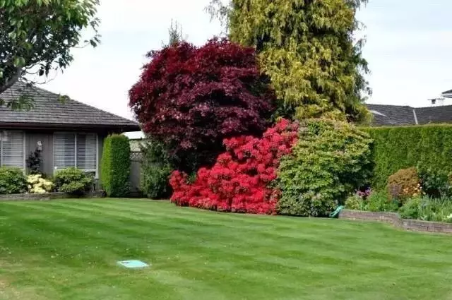 别墅与草坪，美翻了~