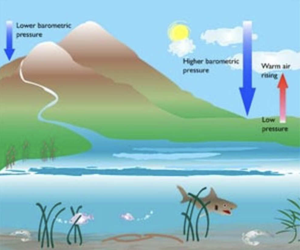 |[钓鱼技巧] 风向和气压为什么影响中鱼率