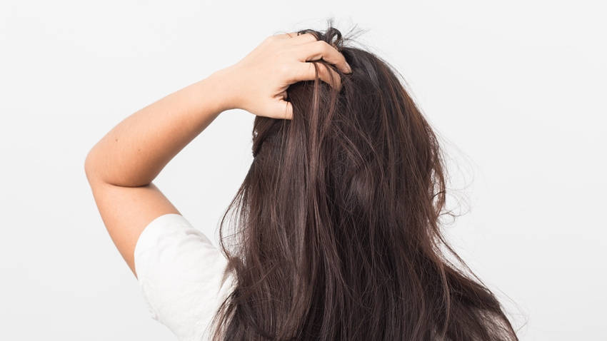 挚爱宝宝一生|女人常喝桑葚酒的好处有哪些？一起看看，早看知道早受益！