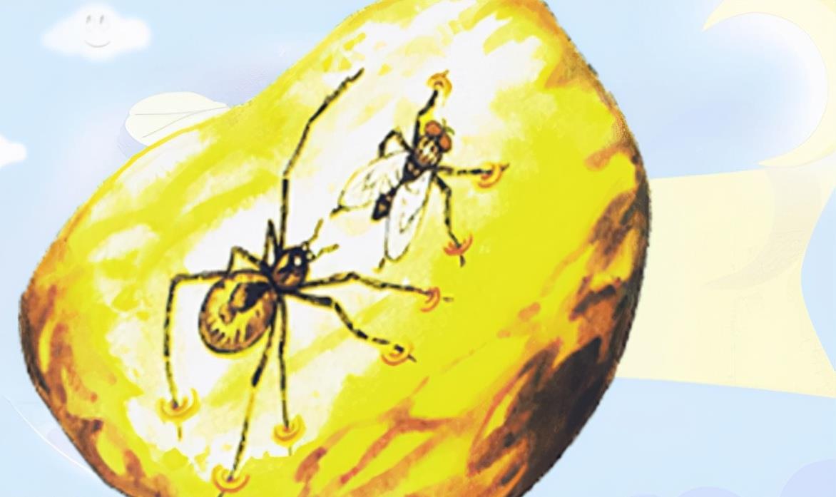 昆虫 琥珀里的昆虫万年不腐,古人为何不用琥珀来给尸体做防腐?