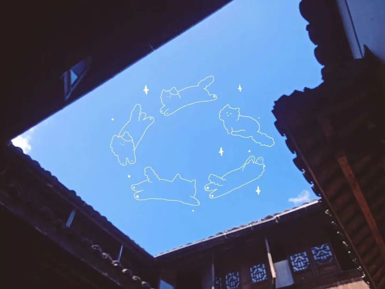 国务院常务会议 难过的时候就抬头看一看天