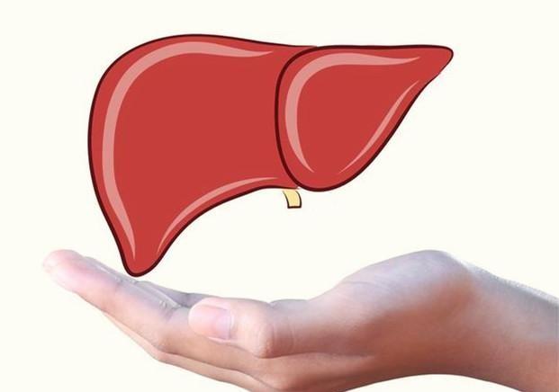 米饭|米饭或是脂肪肝的“发物”？内科医生：要想养好肝，3物请少吃