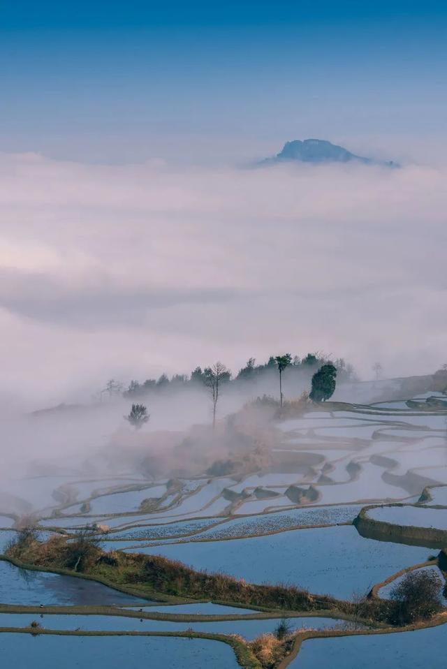 镰仓|不用一味地追求什么“小镰仓、小奈良”，中国景色就是中国景色！