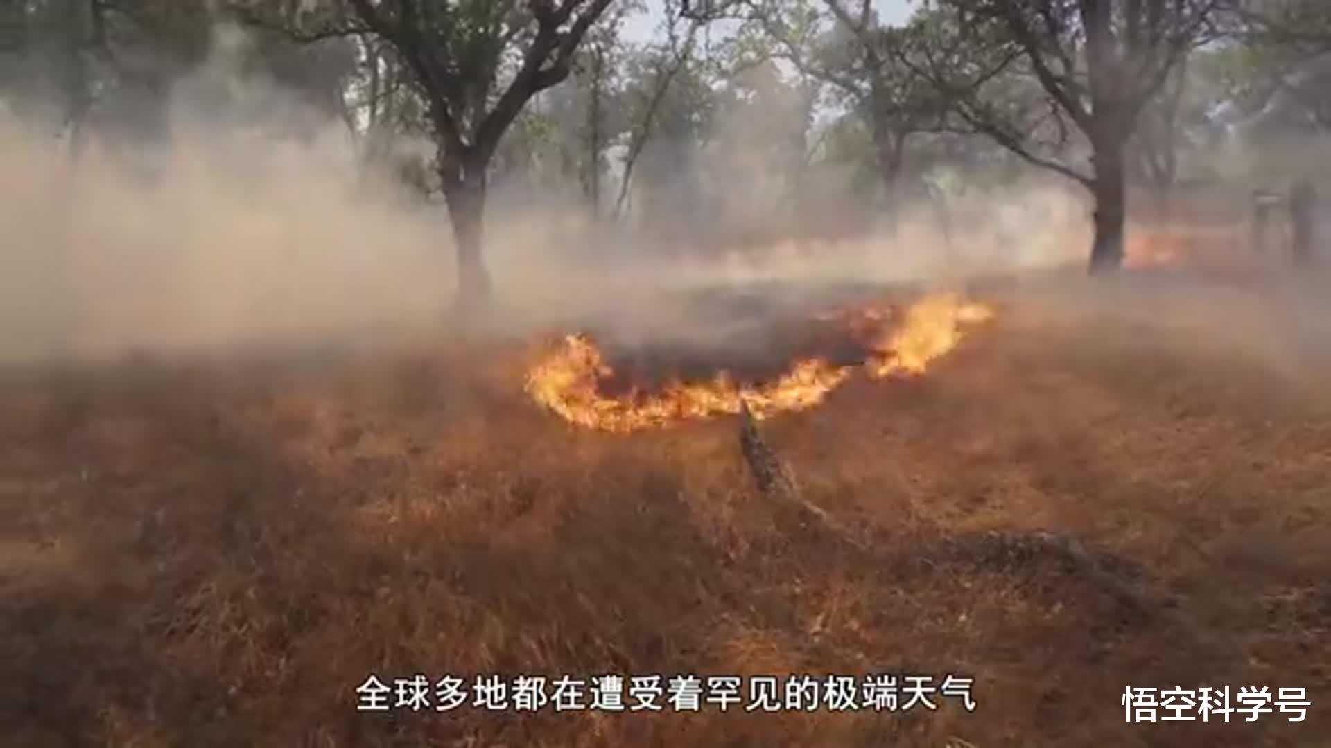 科学家 有史以来第一次！1300光年外稀有行星被发现，有3个“太阳”