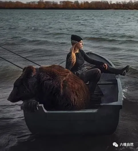 六维自然|俄罗斯一女子收养一头棕熊，将其变为宠物，带着它一起活动