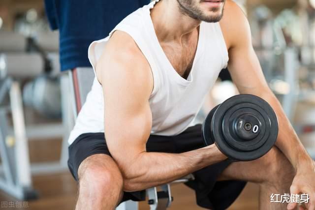 健身|为什么说手臂孤立训练没有必要呢?