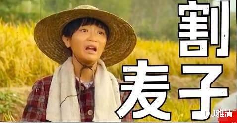 一年一度喜剧大赛|看《喜剧大赛》发现12位宝藏演员，人人戏好却不红，谁是下一个沈腾？