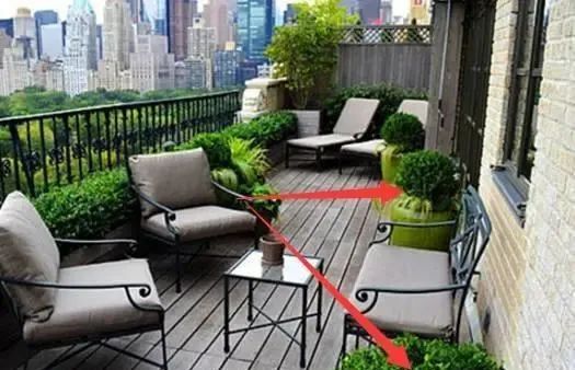 一旦阳台上摆放这些宝贝，你就偷着乐吧，这是大发横财的前兆！