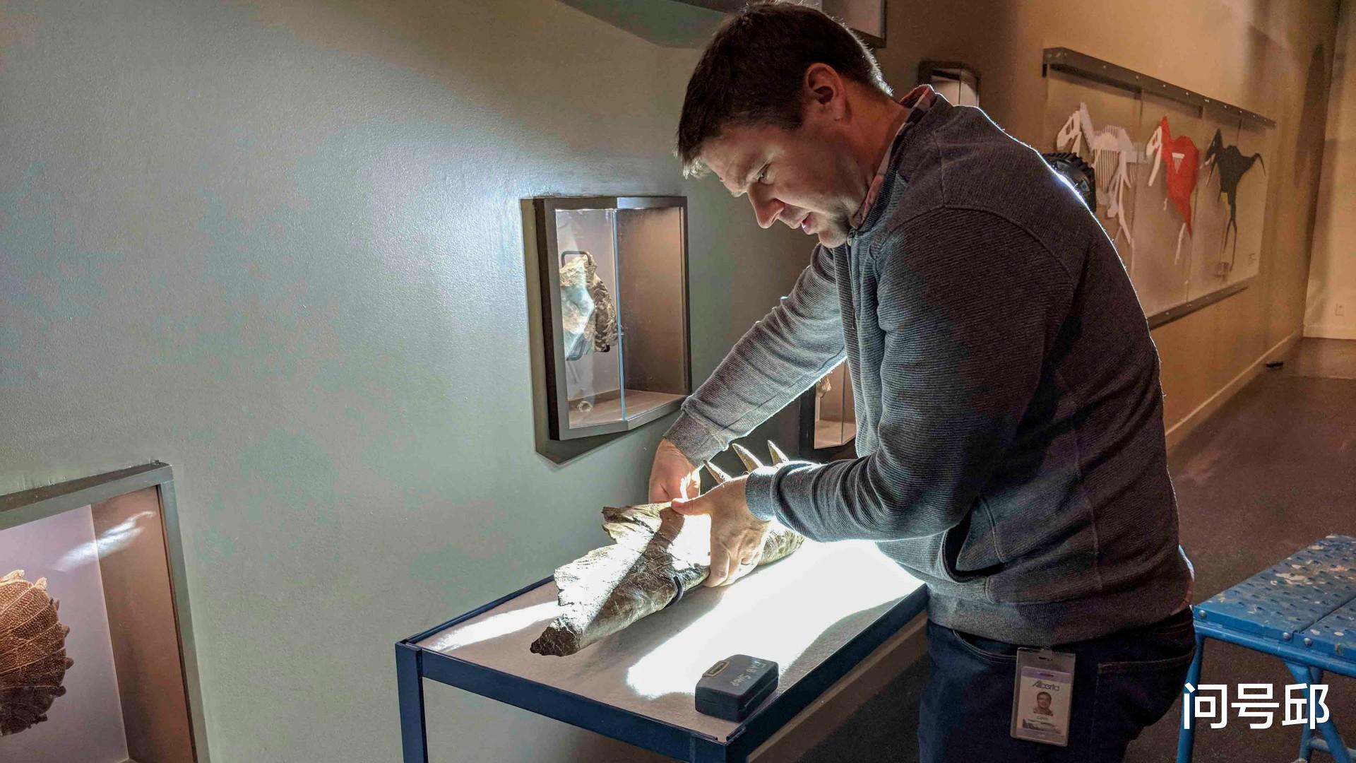 电影 在霸王龙的世界里，互相撕咬对方的脸，可能才会赢得地位和交配权