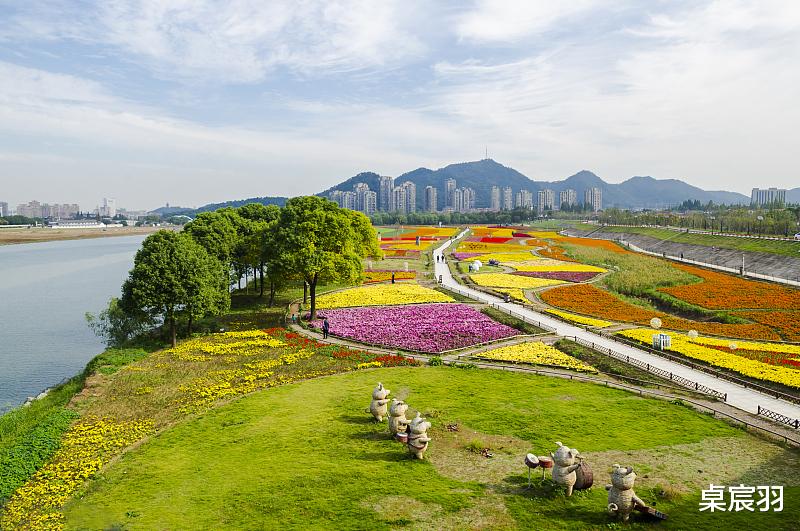 永辉超市|7月8日股市观点，继续反弹的概率大