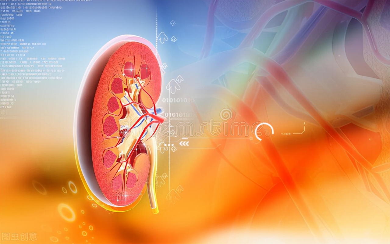 肾病之友 早晨起床看一眼尿，能看出肾好不好