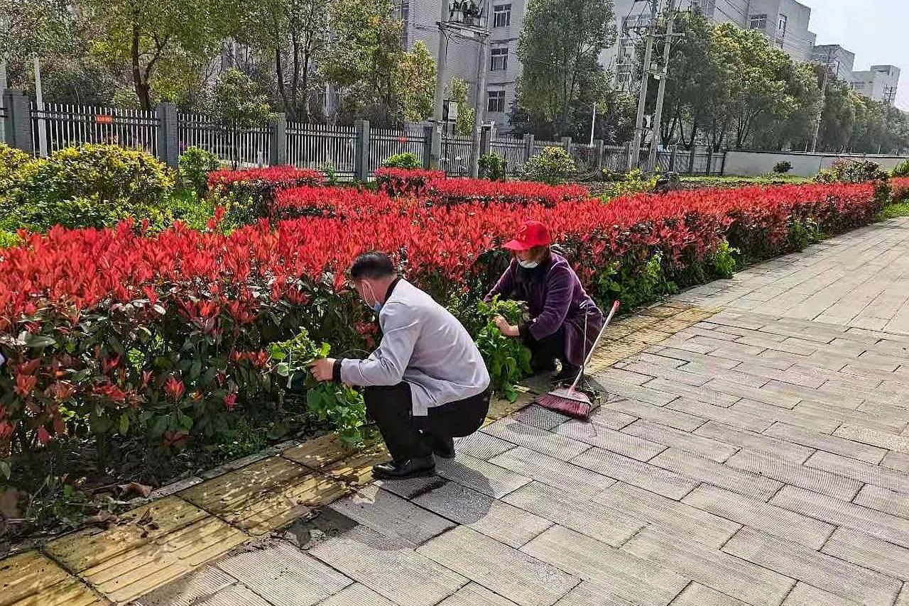 胡了说扒道 天气渐暖了，跟随春天脚步，20余名党员志愿者携手护新绿