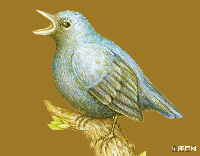 生肖|哪些月份出生的人，一步一脚印努力，事业迟早能翻身，迎来好运