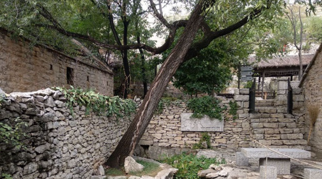 山东省 山东小众的“石头古村”，不要门票，是“山东最美村镇”