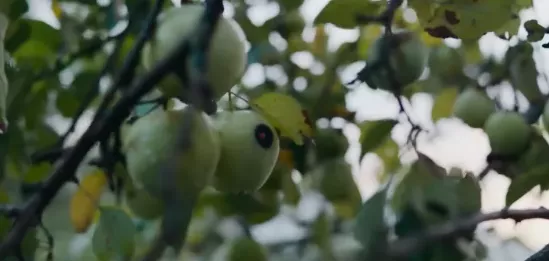 张雨绮|富二代拍床戏【假戏真做】，这低成本爽片，简直太生猛了