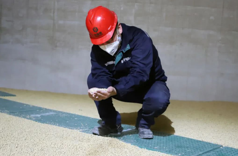 国企|知名国企“中储粮”开始招聘，六险两金食宿全管，专科生也能报考