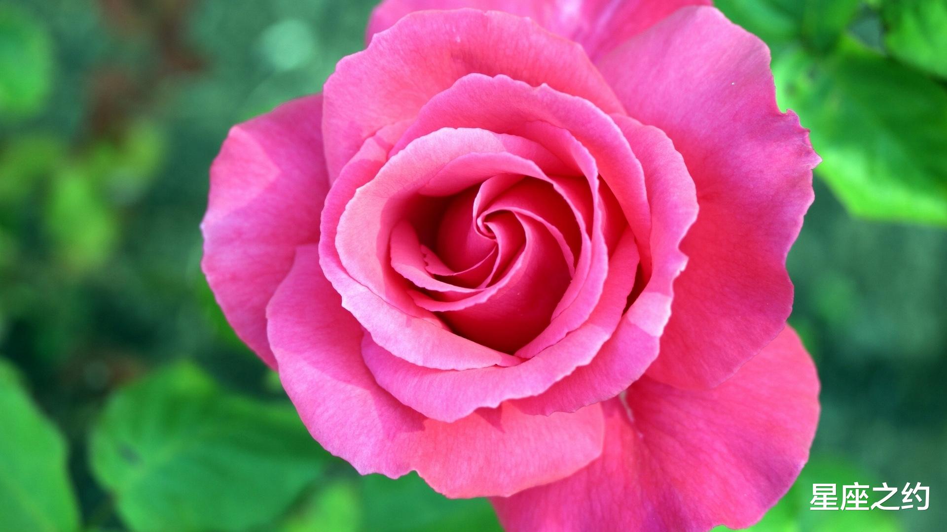 星座之约|9月7日星座运势:把握机会,乘胜追击的四大星座