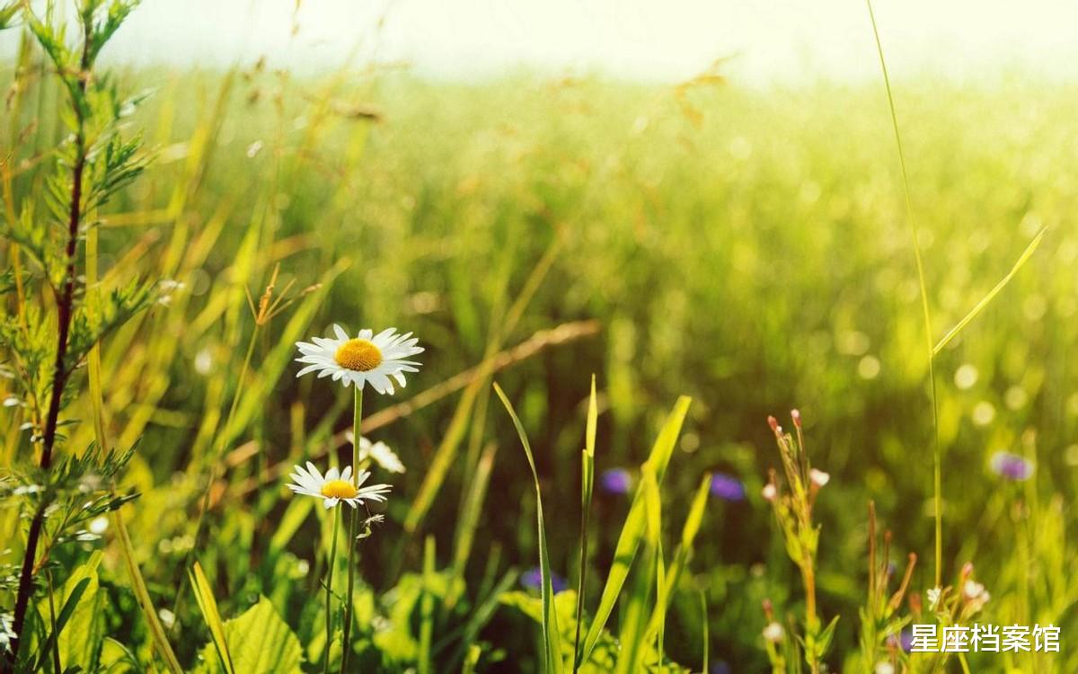 天蝎座|七月，事业榜前五的星座，机遇加努力，或能收获满满、不负艰辛