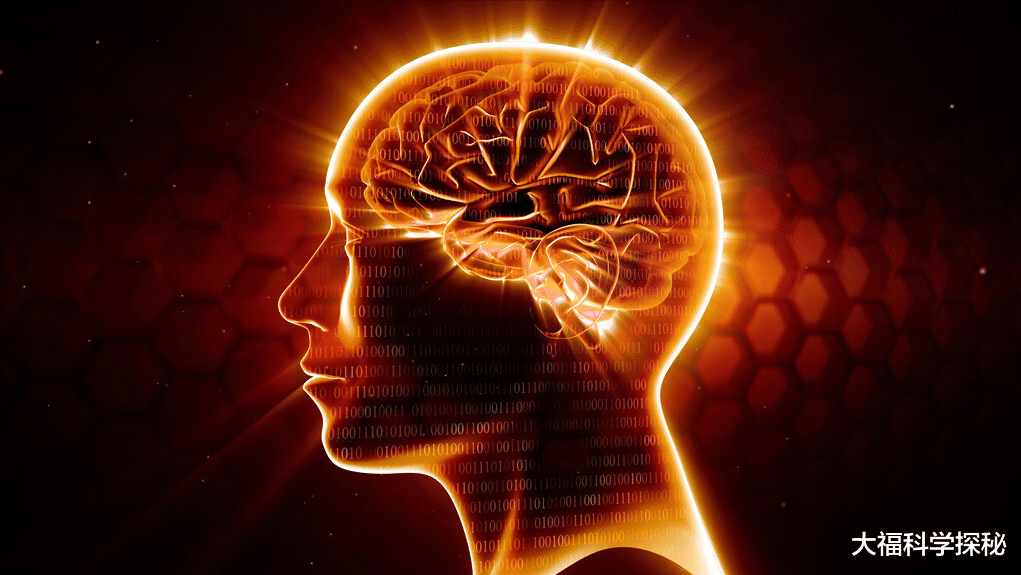 意识是什么?是以灵魂的方式存在吗?大脑为什么会出现错觉?