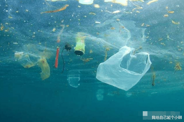  中国在3900米海底拍到了何物？多国发出警告：必须要停手了！