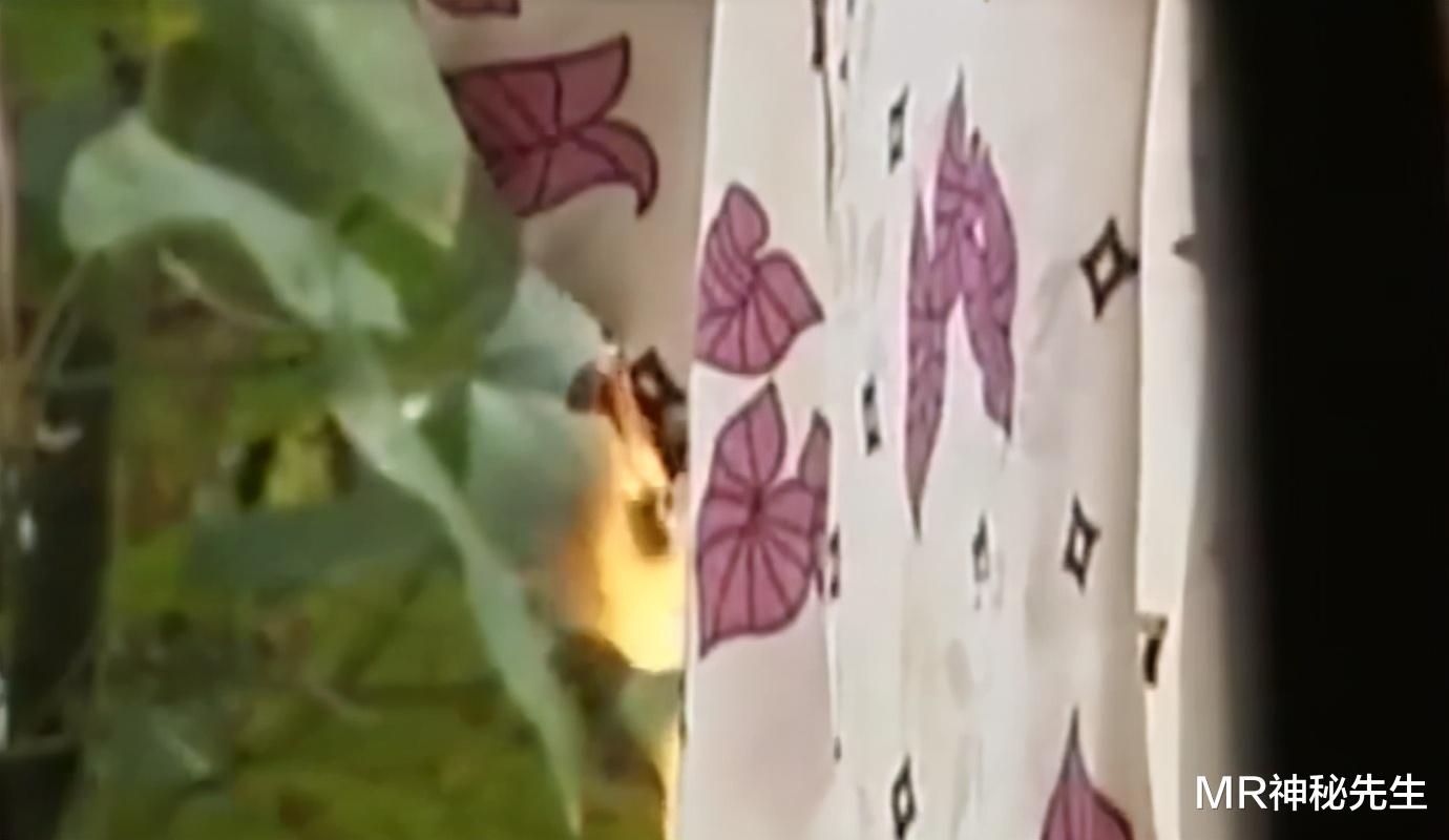 MR神秘先生|湖南一村庄无故起火200多次，2岁孩子1天内预言22场火灾！（上）