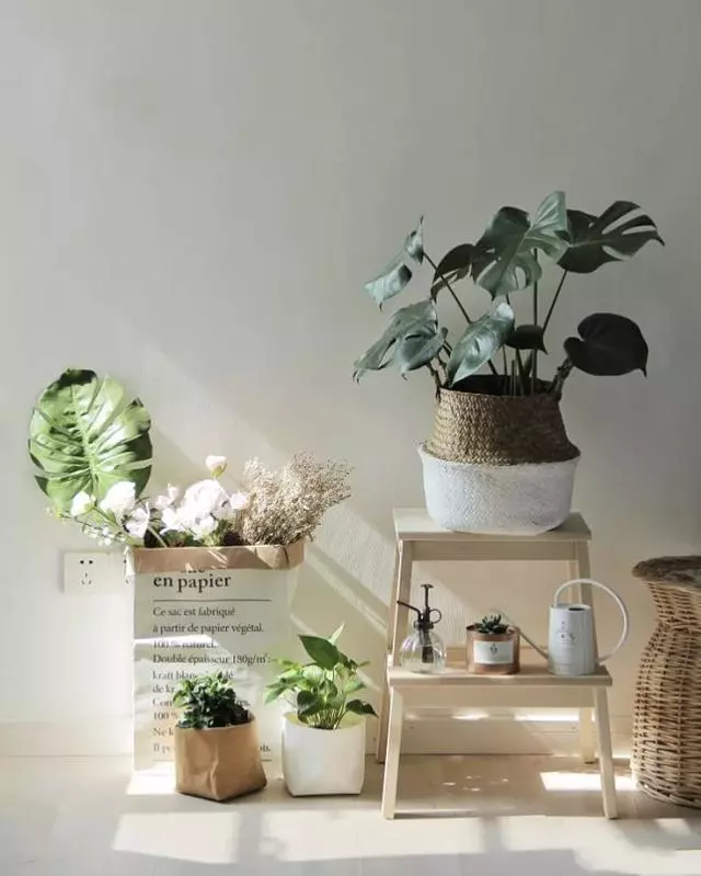 全屋大白墙,造型、吊顶也很少,一进屋却把我迷住