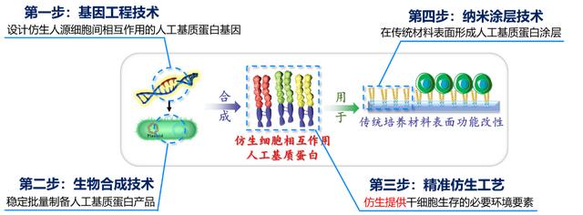 基因 模拟体内微环境，南开大学团队搭建干细胞体外培养“阳光房”