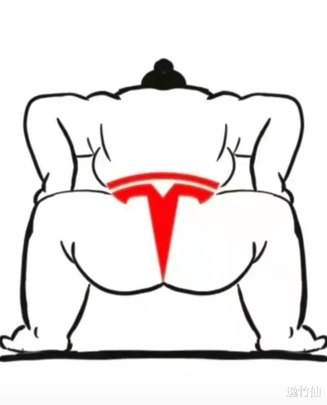逸竹仙 特斯拉荣获年度最佳甩锅奖？继路面、电网中枪后，这次轮到驾校了