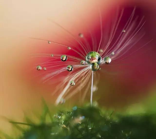  我们都在害怕什么