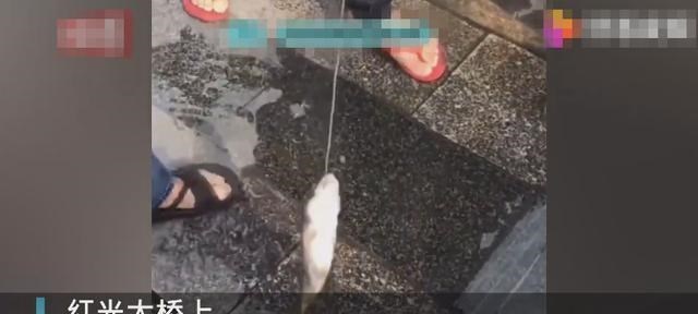 大爷|广西一大爷大桥排水洞钓鱼，纯粹打发时间，网友：羡慕大爷的生活