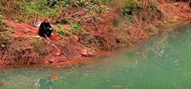 四川省|四川一男子野钓遇怪鱼，鱼鳞似开放的花朵，钓鱼人果断放生