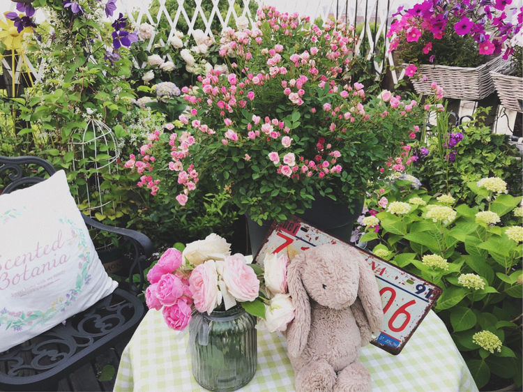 花一年多时间，改造16㎡屋顶露台，荒废屋顶变身“空中小花园”