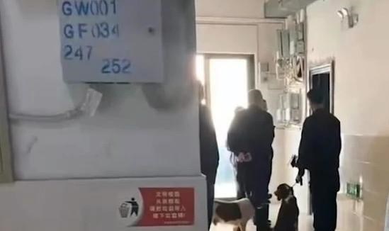 安徽女大学生宿舍“产子”后续,在孩子嘴里塞满白布,扔至楼下
